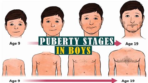 reddit puberty|Growing Up: The Stages of Puberty for Boys .